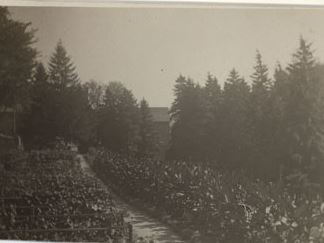 Garden at Schell's